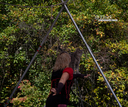 Filename=2025CatRenFair12a.jpg
Filesize=1075KiB
Dimensions=1000x837
Date added=Jan 03, 2026 2025CatRenFair12a.jpg