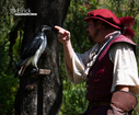 2025HawkRenFaire2.jpg