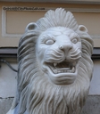 Leo1.jpg