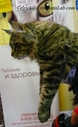 MaineCoon1~0.jpg