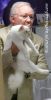 BirmanCatOcto.jpg