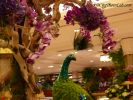 MacysFlowerShow10.jpg