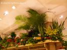 MacysFlowerShow11.jpg