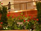 MacysFlowerShow12.jpg