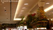 MacysFlowerShow17.jpg