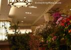 MacysFlowerShow18.jpg
