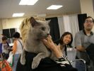 Filename : Picture 3784.jpg
Filesize : 32KB
Dimensions : 533x400
Date added : Oct 10, 2004 Picture 3784.jpg