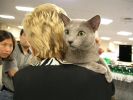 Filename : Picture 3785.jpg
Filesize : 32KB
Dimensions : 533x400
Date added : Nov 02, 2004 Picture 3785.jpg