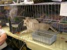 Filename : Picture 3792.jpg
Filesize : 51KB
Dimensions : 533x400
Date added : Oct 10, 2004 Picture 3792.jpg