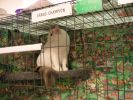Filename : Picture 431.jpg
Filesize : 51KB
Dimensions : 533x400
Date added : Oct 21, 2004 Picture 431.jpg