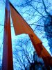 DSCF0037.JPG