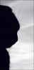 Filename : Cat_silhouette.jpg
Filesize : 49KB
Dimensions : 358x736
Date added : Dec 05, 2004 Cat_silhouette.jpg