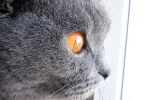 Filename : Look.jpg
Filesize : 220KB
Dimensions : 872x576
Date added : Dec 05, 2004 Look.jpg