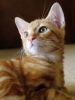 DSC01086-2.jpg