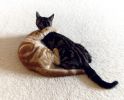 DSC01110-2.jpg