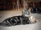 DSC01111-2.jpg