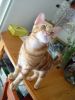 DSC01712.jpg