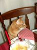 DSC02438.jpg