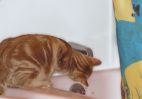 DSC03057.jpg