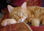 DSC03641.jpg