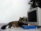 2004-07-18 - 009_resize.JPG