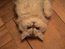 DSC00892_2.jpg