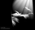 DSC_0935a.jpg